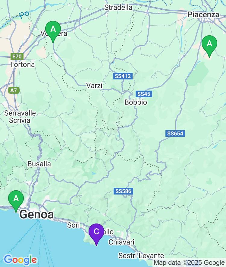 Portofino Available Airport Options