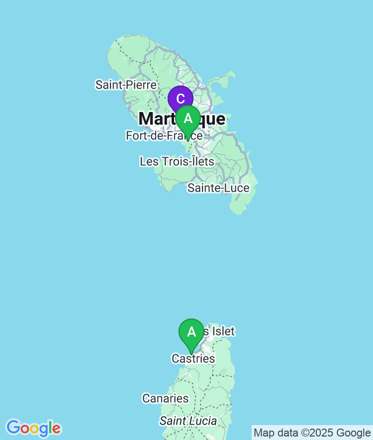 Martinique Available Airport Options