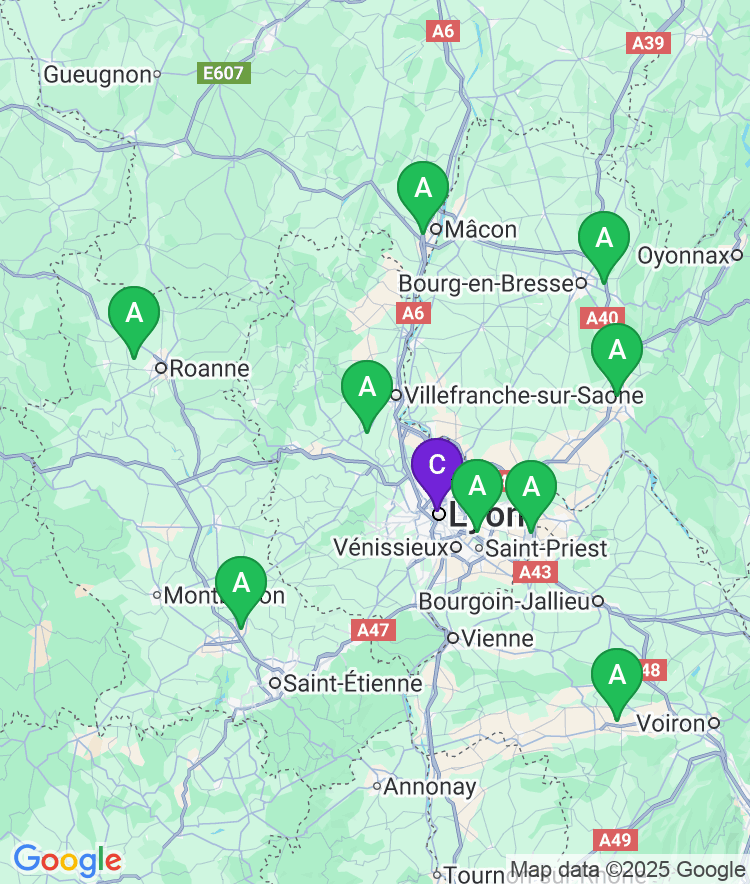 Lyon Available Airport Options