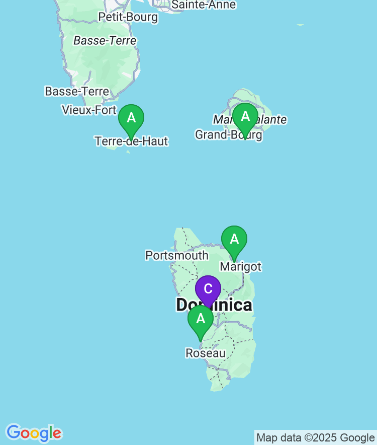 Dominica Available Airport Options