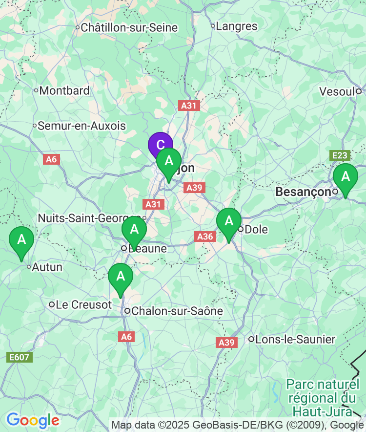 Dijon Available Airport Options