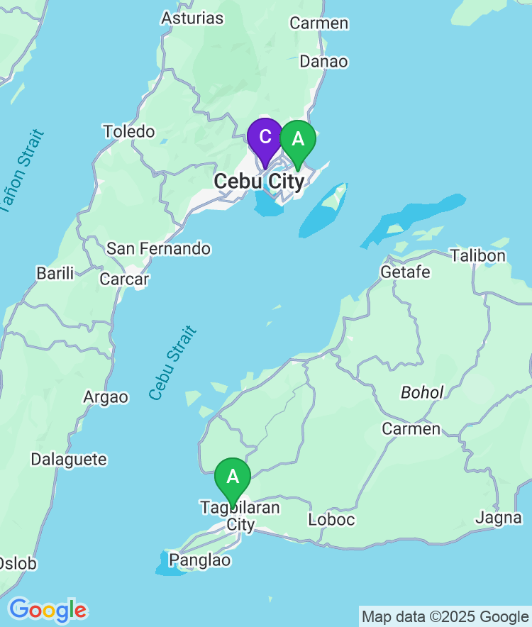 Cebu Available Airport Options