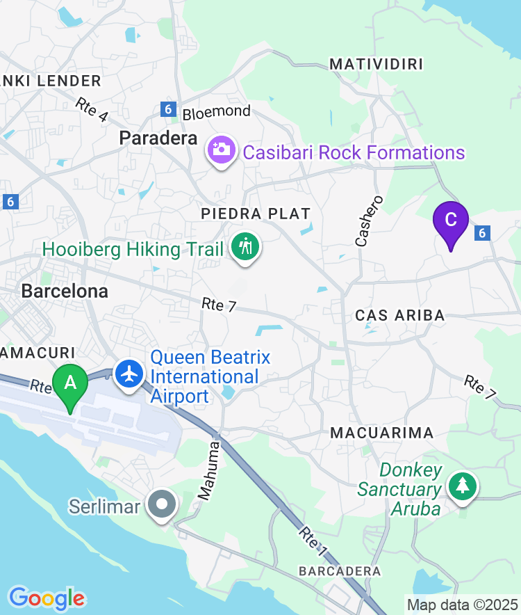 Aruba Available Airport Options