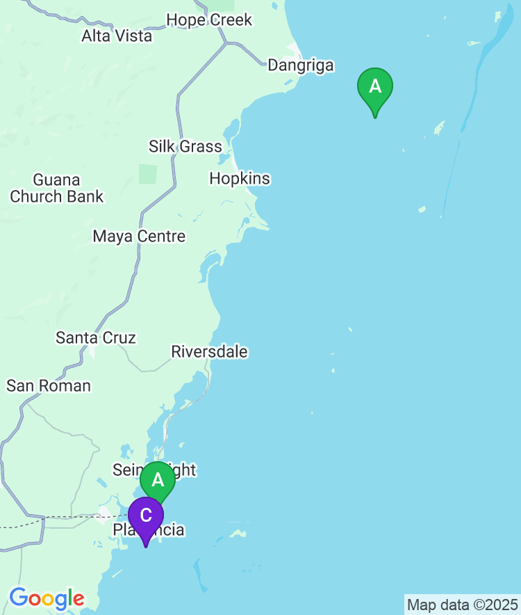 Placencia Available Airport Options